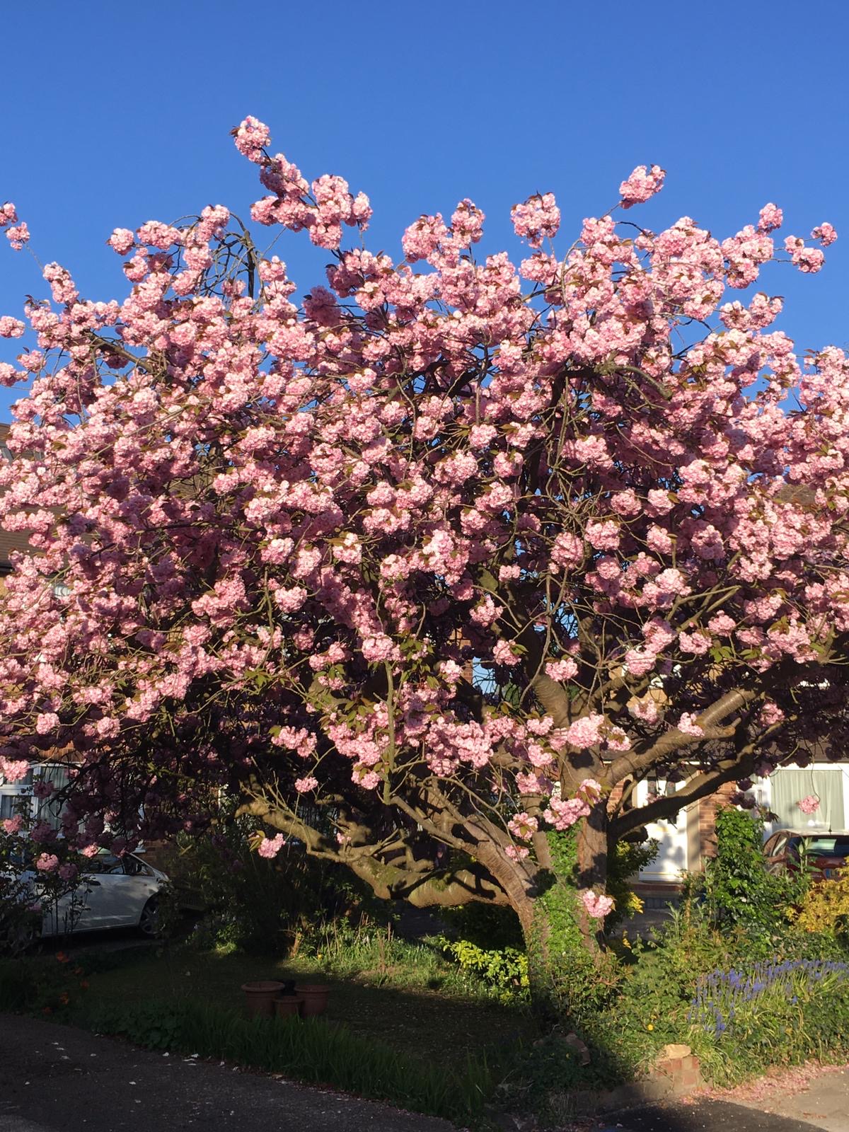 32cb1756-87b1-46b2-9feb-ed71ccf6ca41